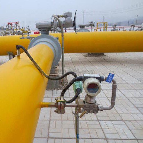 螺杆流量计技术分享:SVC10K1F1R2SH型号解析